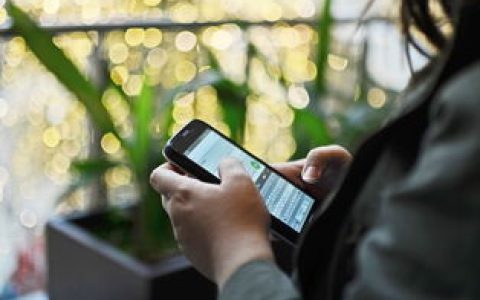 四川省教育考试院网站登录入口：便捷登录，掌握考试信息